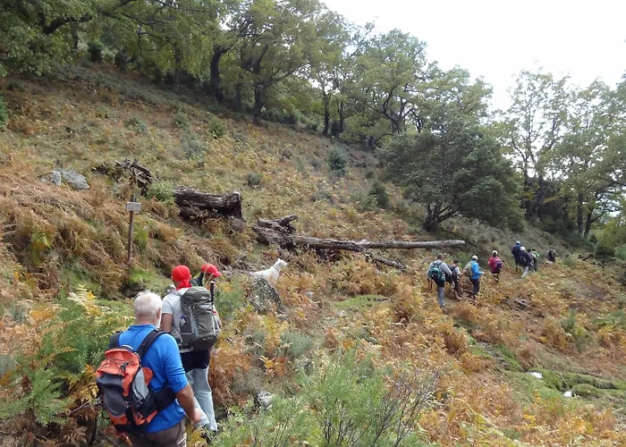 Rural La Covacha Venkovský dům *